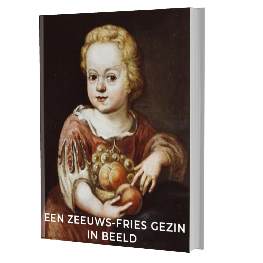 Een Zeeuws-Fries gezin in beeld ebook cover